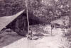 104 Sig Sqn, Vietnam