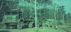 104 Sig Sqn, Vietnam