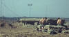 104 Sig Sqn, Vietnam